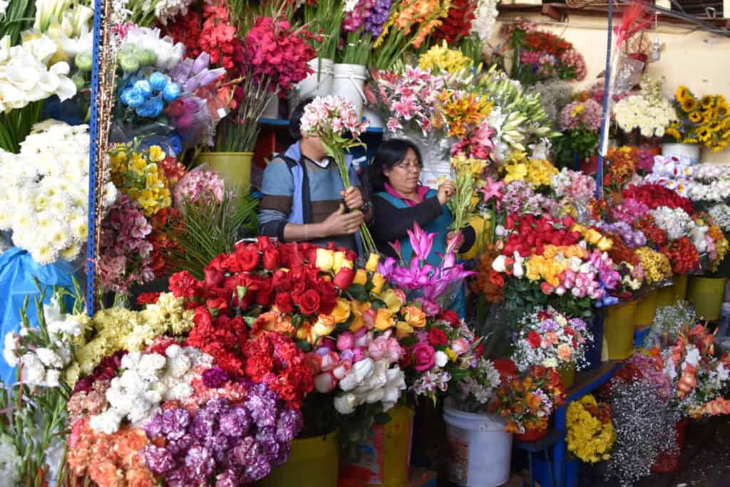 San pedro market in Cusco,  flowers